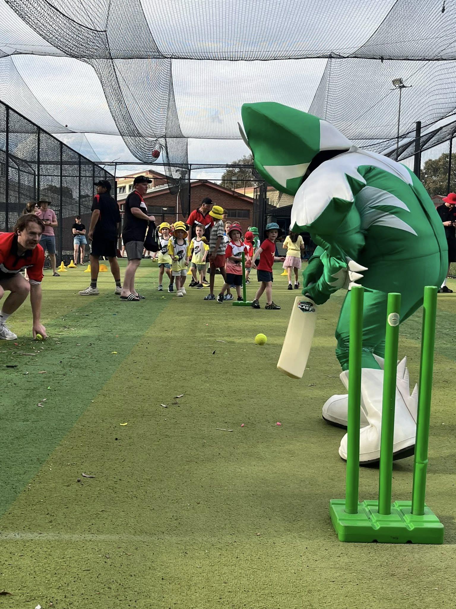 Cricket Blast